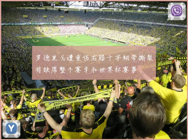 罗德里戈遭重伤右膝十字韧带撕裂将缺席整个赛季和世界杯赛事