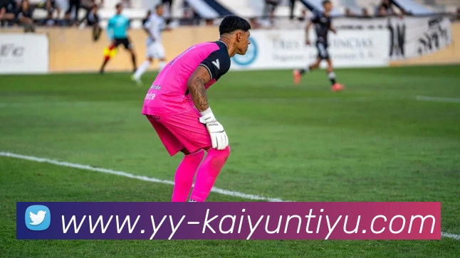 开云体育平台生态图