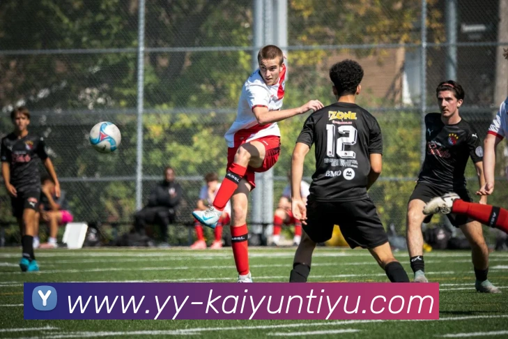 开云体育APP 封面图